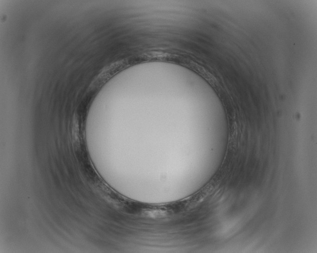 X0000085250220200703090956