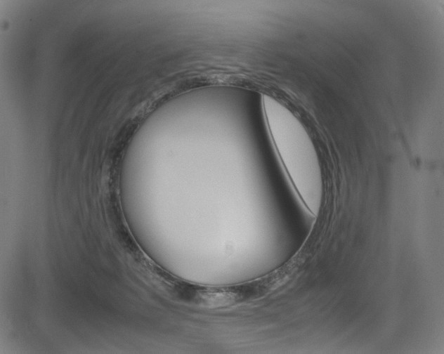 X0000085250221200703090956