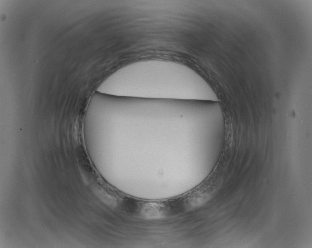 X0000085250222200703090956