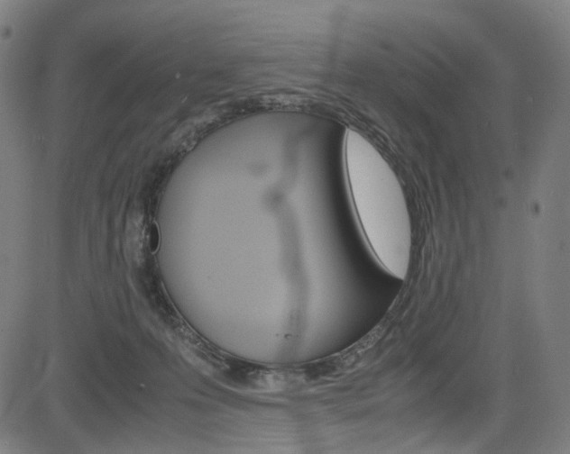 X0000085250223200703090956