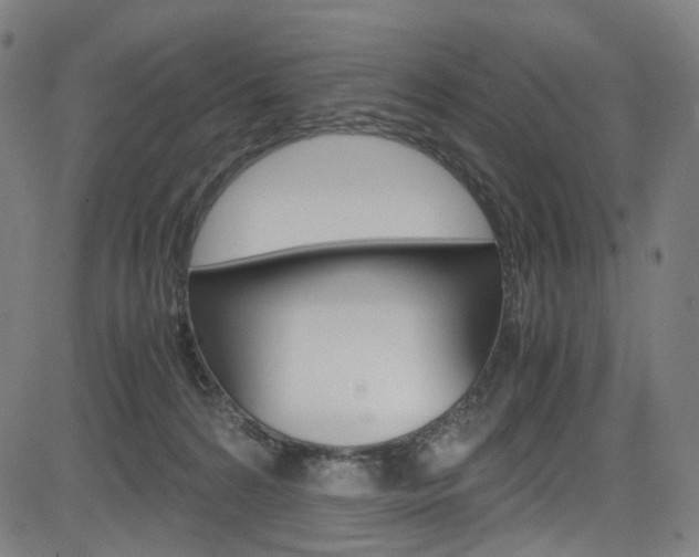 X0000085250224200703090956