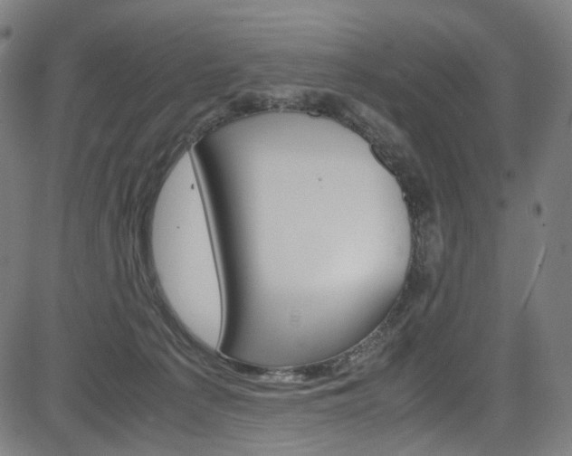 X0000085250225200703090956