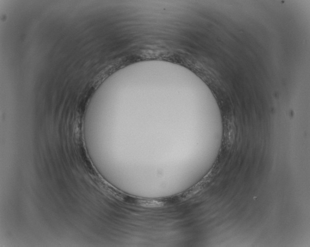 X0000085250226200703090956