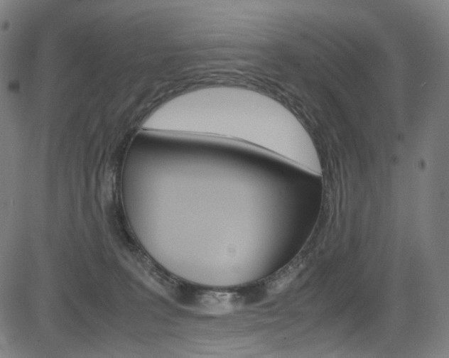 X0000085250227200703090956