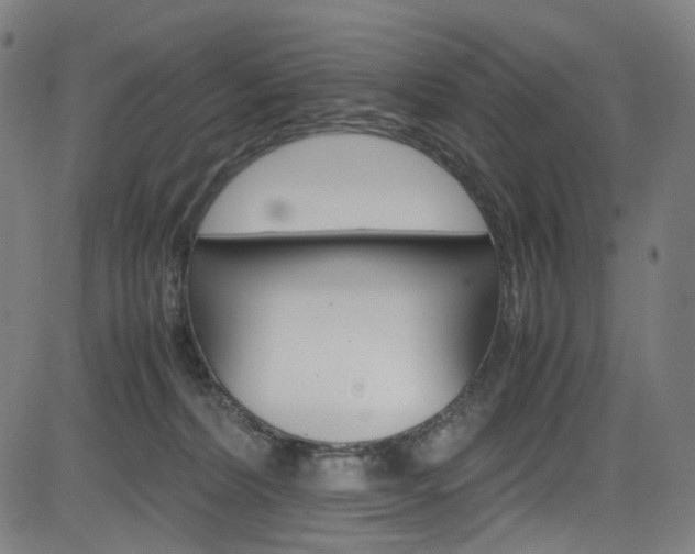 X0000085250228200703090956