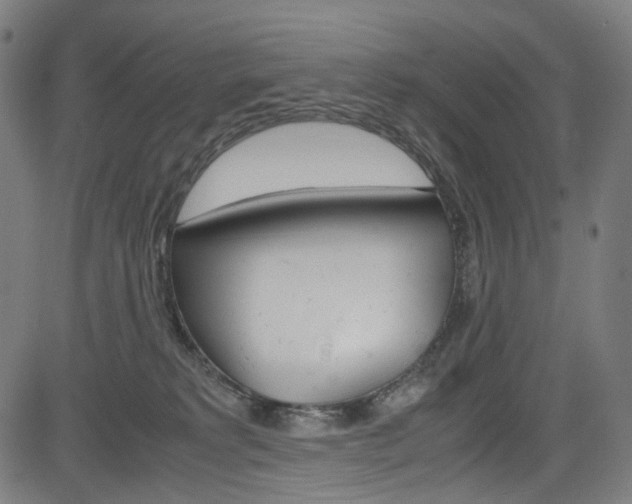 X0000085250229200703090956