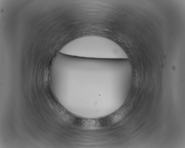 X0000085250230200703090955