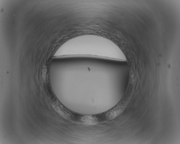 X0000085250231200703090955