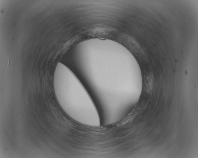 X0000085250232200703090955