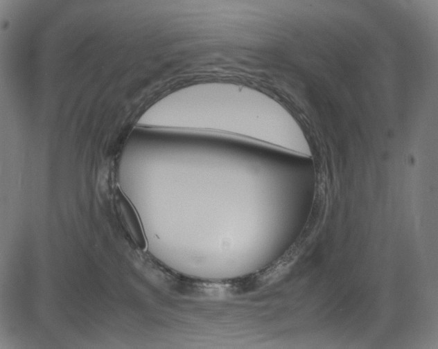 X0000085250233200703090955