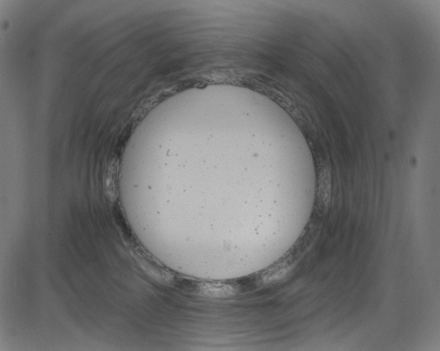 X0000085250234200703090955