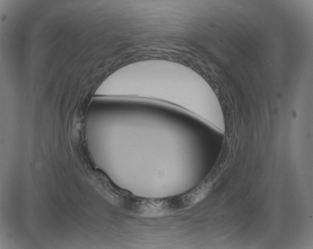 X0000085250235200703090955