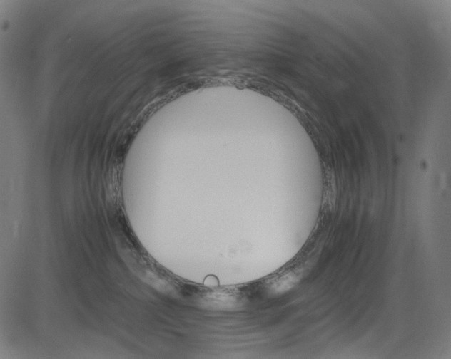 X0000085250236200703090955