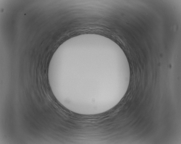 X0000085250237200703090955