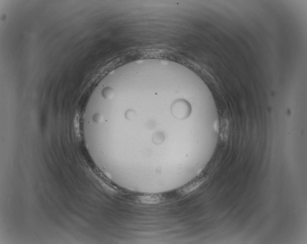 X0000085250238200703090955