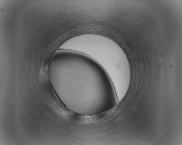 X0000085250239200703090955