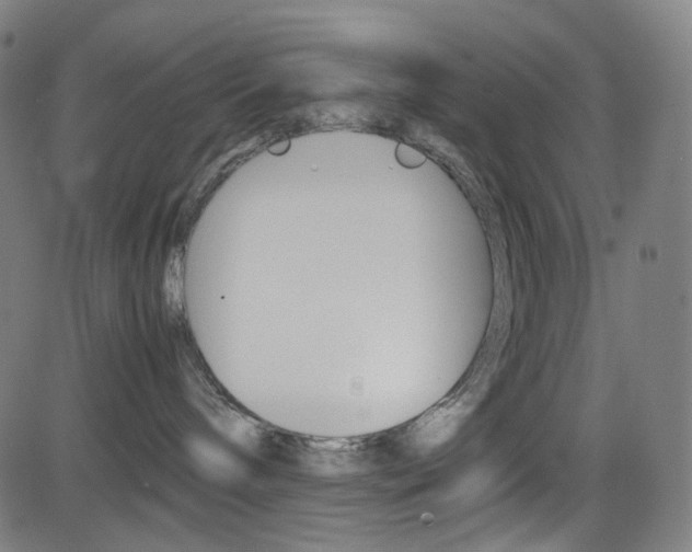 X0000085250240200703090955