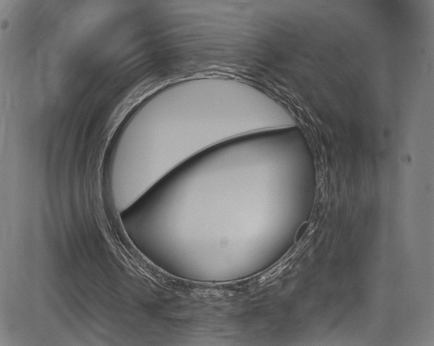 X0000085250242200703090955