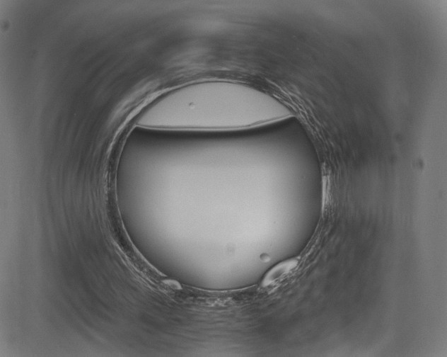 X0000085250243200703090955