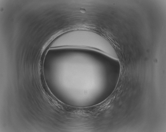 X0000085250244200703090955