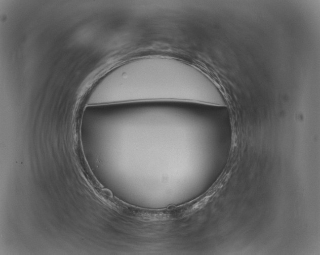 X0000085250245200703090955