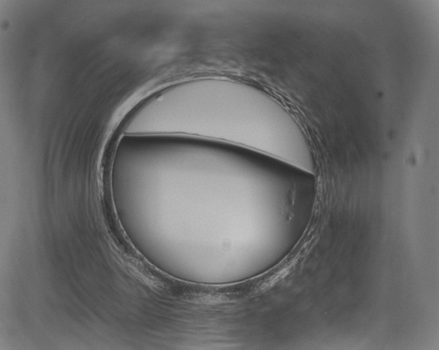 X0000085250246200703090955