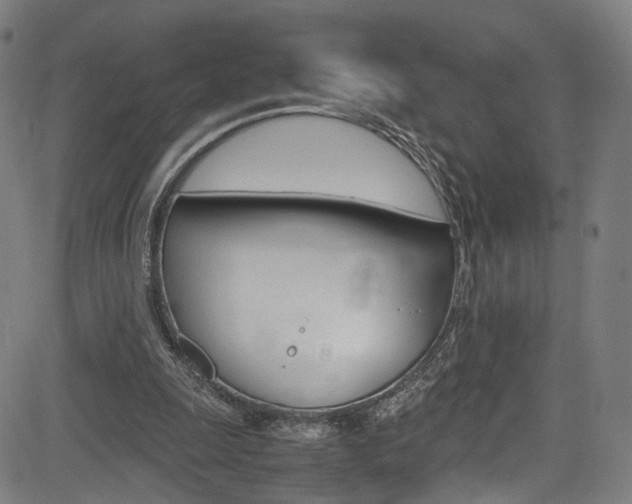 X0000085250247200703090955