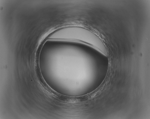 X0000085250248200703090955