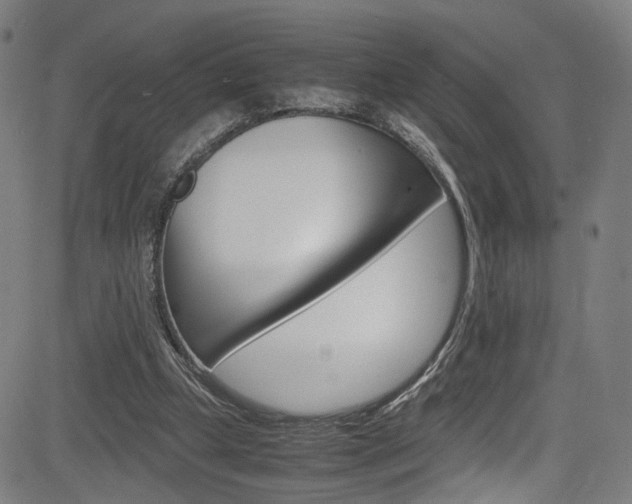 X0000085250249200703090955