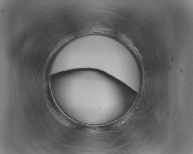 X0000085250250200703090955