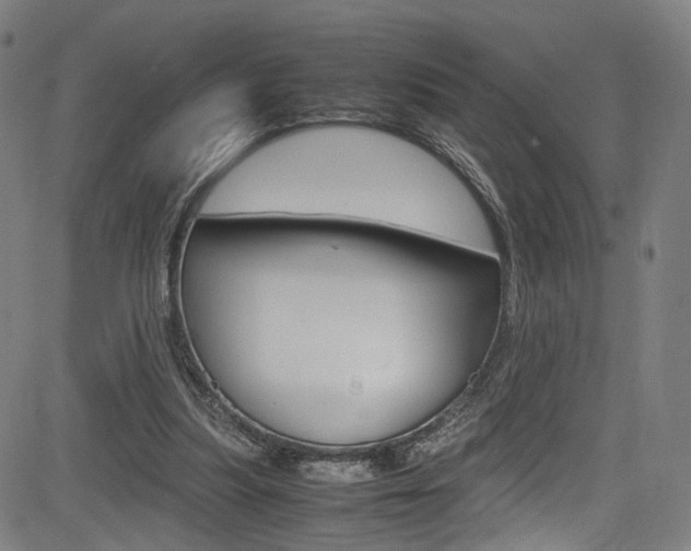 X0000085250251200703090955