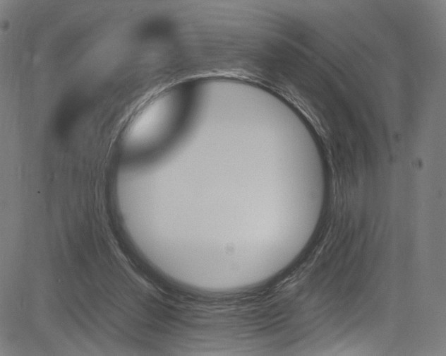 X0000085250252200703090955