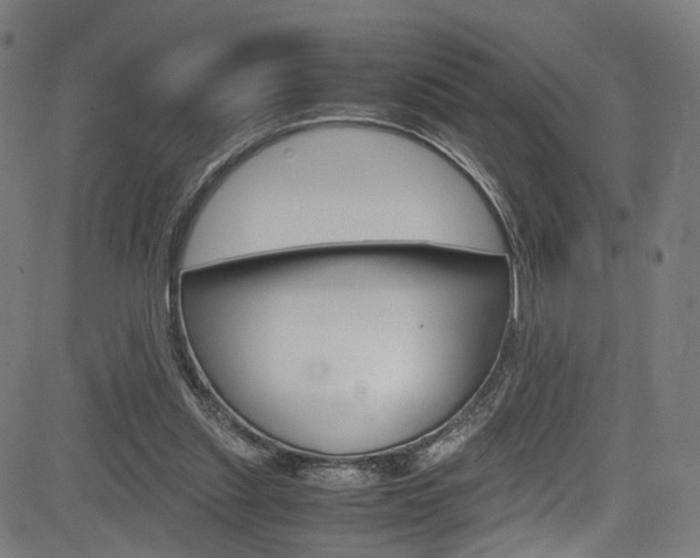 X0000085250253200703090955