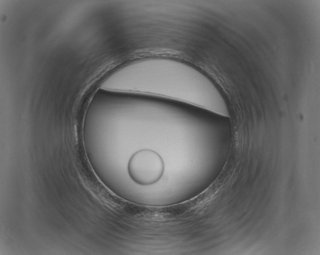 X0000085250254200703090955