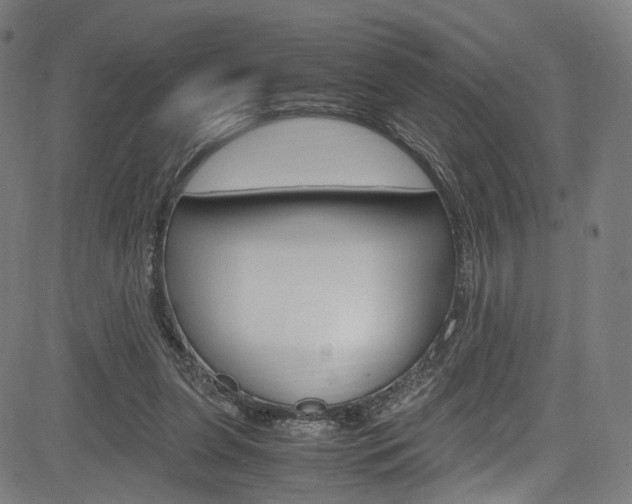 X0000085250255200703090955