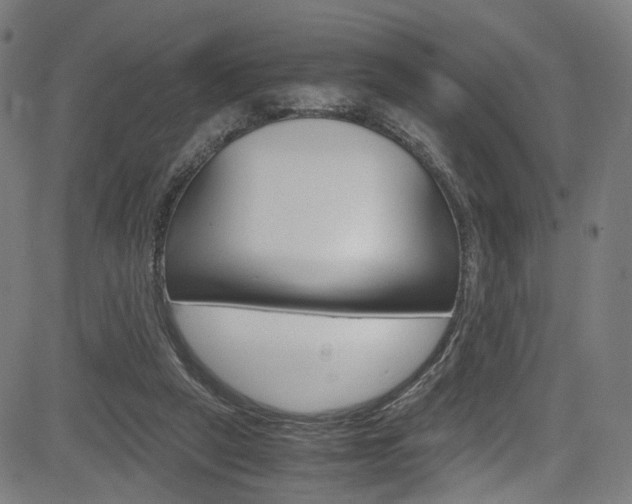 X0000085250257200703090955