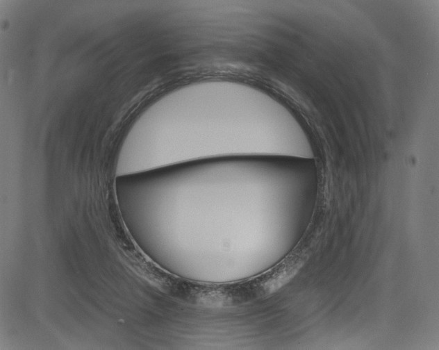 X0000085250258200703090955