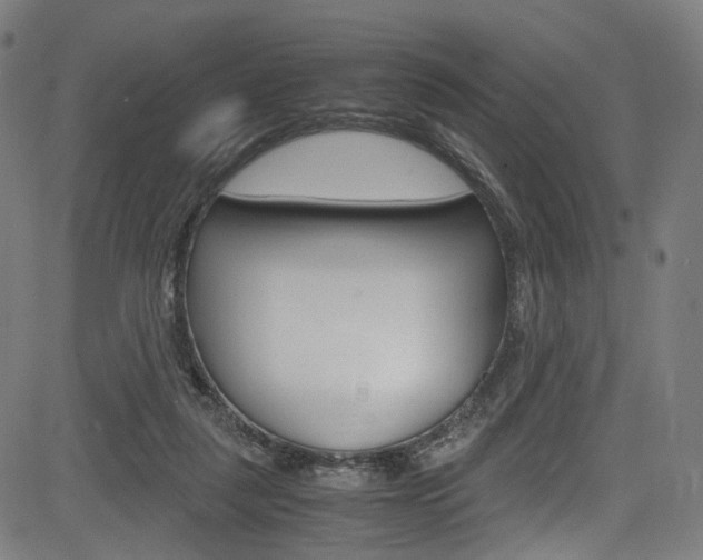 X0000085250259200703090955