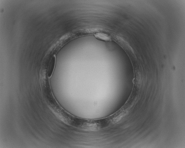 X0000085250260200703090955