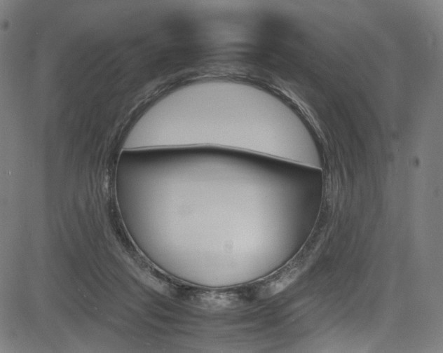 X0000085250261200703090955