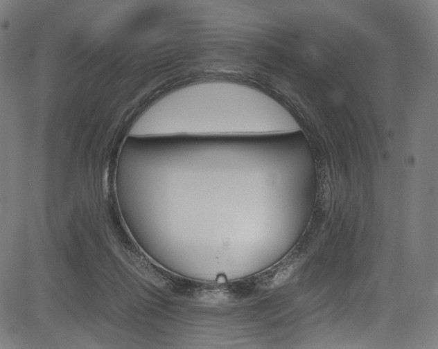 X0000085250262200703090955