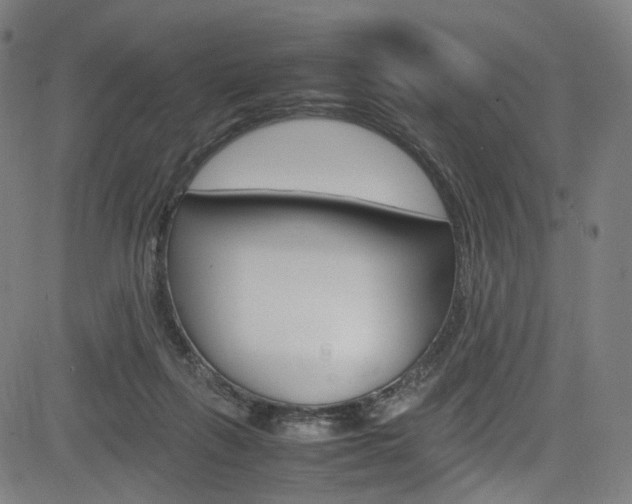 X0000085250263200703090955