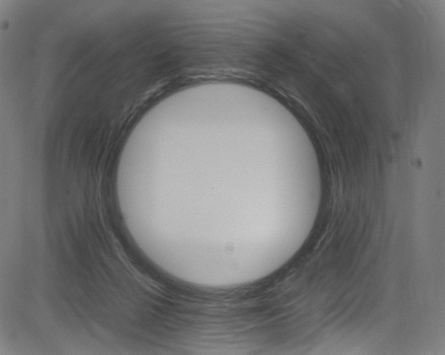 X0000085250264200703090955