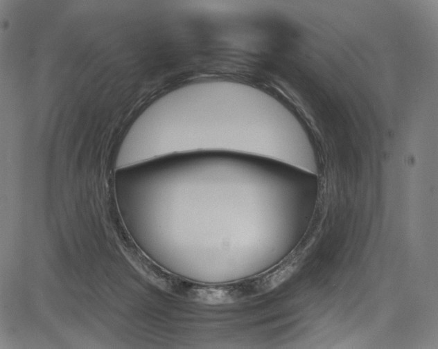 X0000085250265200703090955