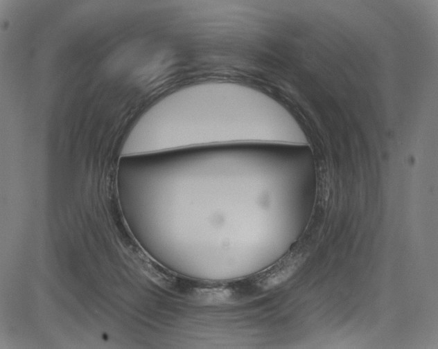 X0000085250266200703090955