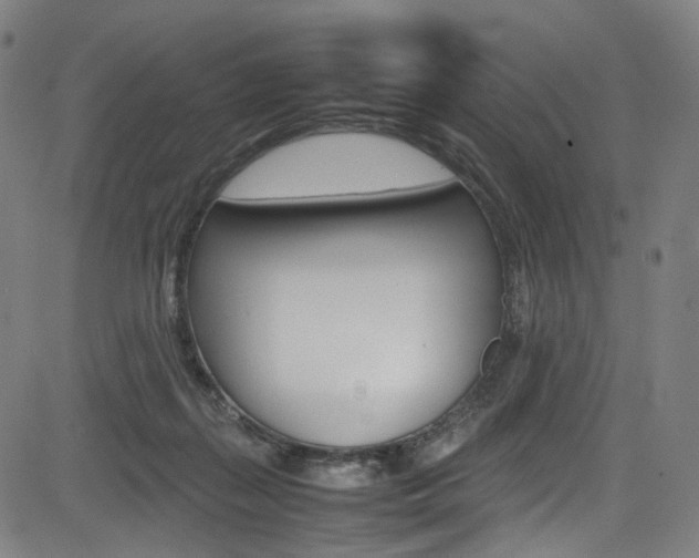 X0000085250267200703090955