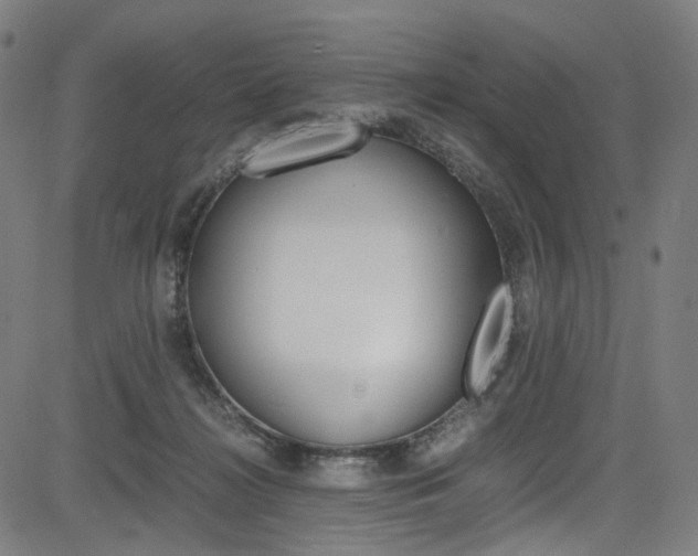 X0000085250268200703090955