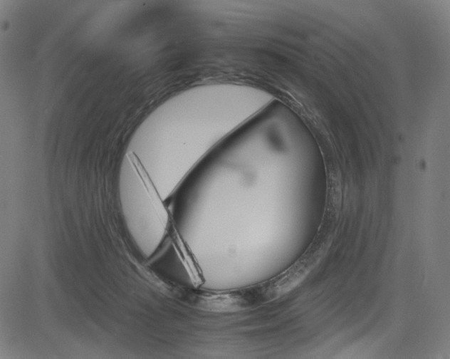 X0000085250269200703090955