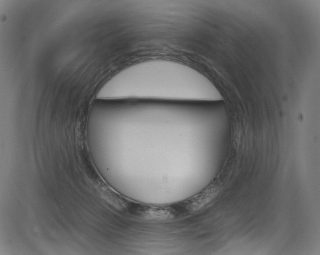 X0000085250270200703090955