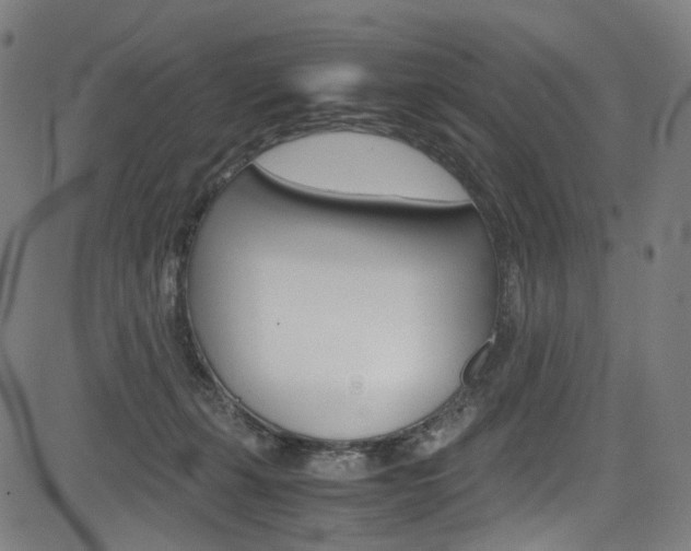 X0000085250271200703090955